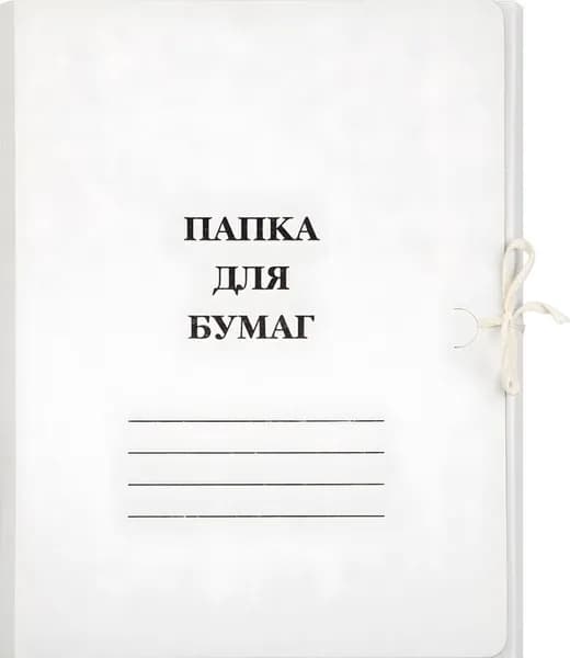 Папка для бумаг с завязками (мелованный картон 380 г/кв.м)