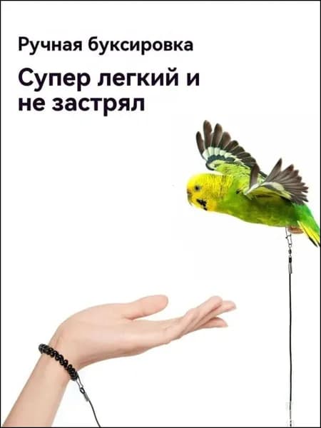 Аксессуары для выгула птиц: ошейники, специально разработанные для попугаев и других птиц, в комплекте с поводком и ремешком на запястье. Размер кольца для ноги 5. Черный, длина 2 метра. 1 шт.