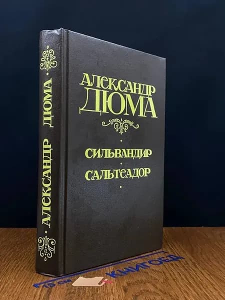 Сильвандир. Сальтеадор — Александр Дюма