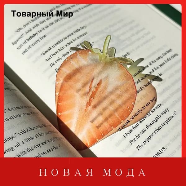 Закладка
