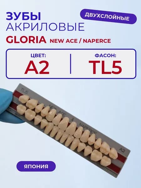 Зубы акриловые A2, TL5, двухслойные, YAMAHACHI, GLORIA New Ace и Naperce