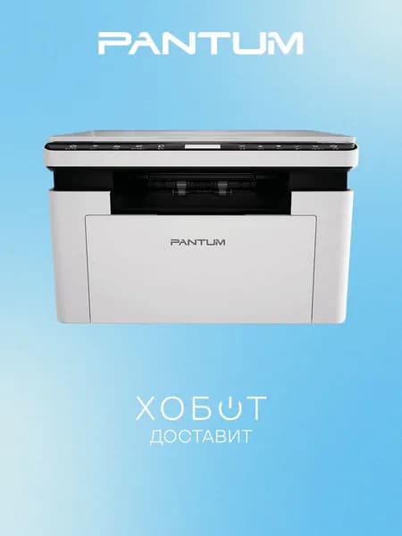 МФУ Pantum BM2300 белый (BM2300)