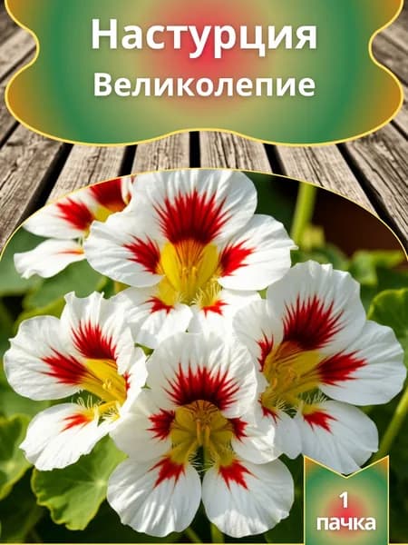 Настурция Великолепие , семена 10 шт.