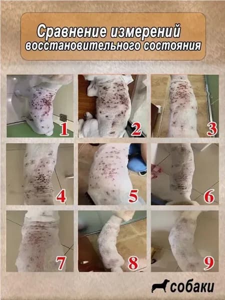 Этот репеллент для собак и кошек объемом 100 ml мгновенно убивает блох и обеспечивает защиту на 30 дней. #ДляДомaшнихЖивотных #ВетеринарРекомендует
