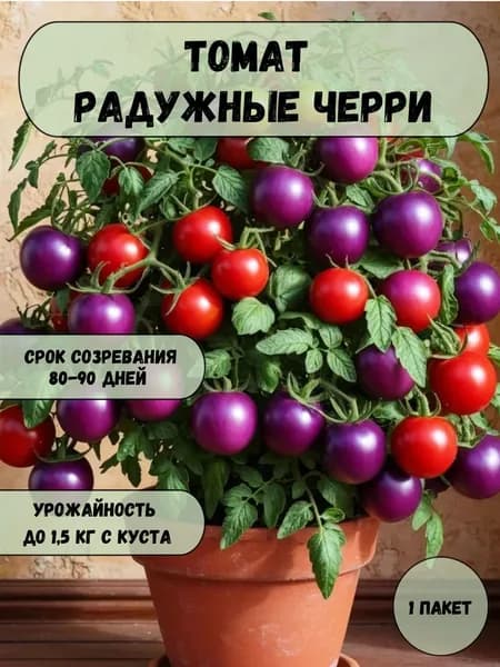 Томат Радужные черри, семена 10 шт
