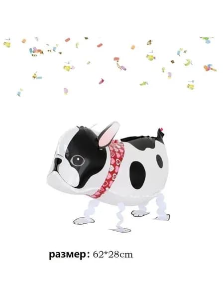 Воздушный шар для выгула французского бульдога