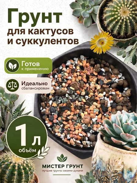 Грунт для кактусов и сукккулентов, 1л