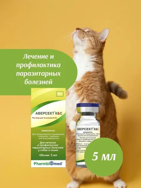 Аверсект К&С 0,5%, 5 мл