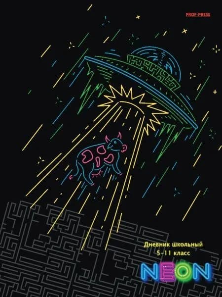 Дневник школьный "NEON" 5-11 класс, 48 листов, 7БЦ