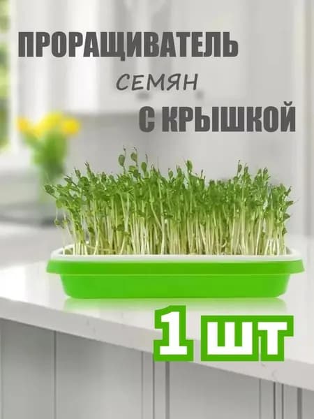Набор для рассады