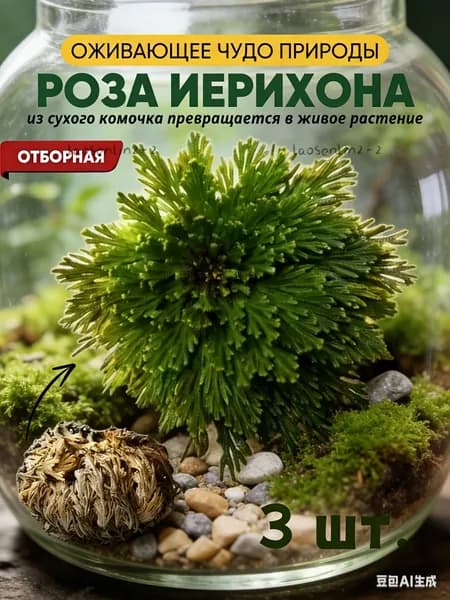 Воскрешение сухих цветов/Восстанавливает цвет при попадании воды,3 шт