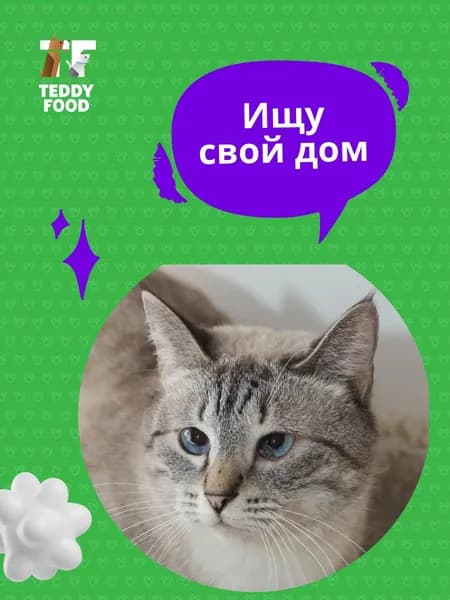 Помочь Тине найти дом