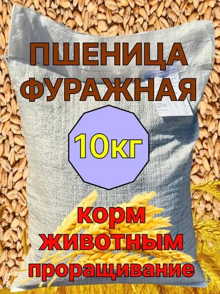 Пшеница зерно для проращивания кормовая фуражная 10кг