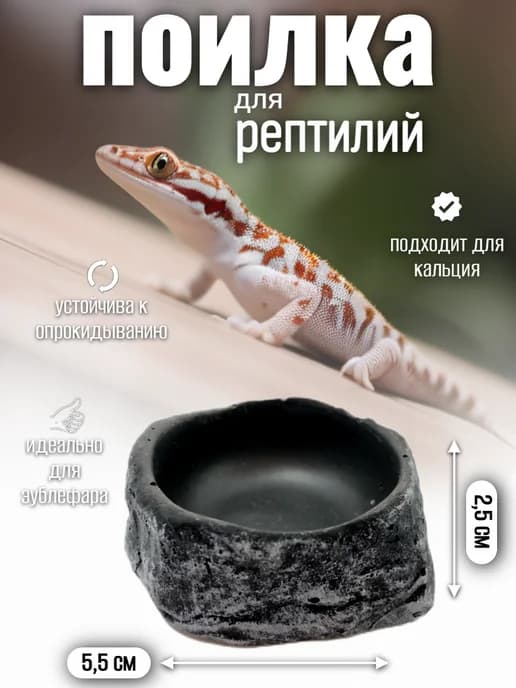 Кормушка-поилка для рептилий и насекомых