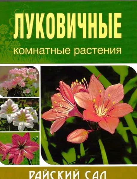 Сад и огород: Луковичные комнатные растения. Райский сад | Блейз Ольга Степановна