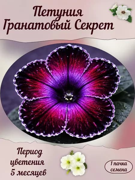 Петуния Гранатовый Секрет, семена, 10 шт.