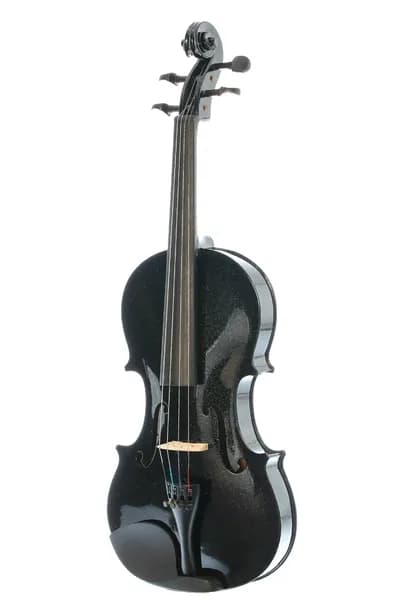 Скрипка в кейсе (4/4) Fabio SF3900 черная