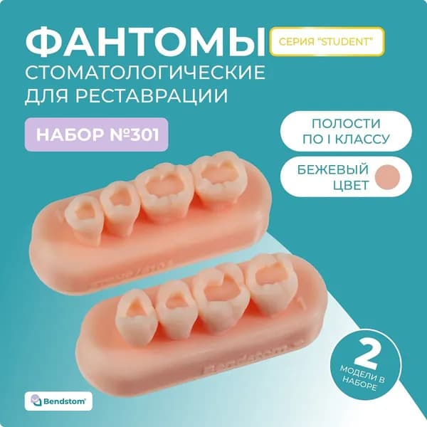 Набор №301 жевательные блоки Student (2 штуки) препарированные по I классу / модели для реставрации / стоматологический тренажер