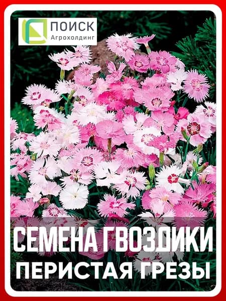 Семена цветов многолетних Гвоздика перистая "Грезы" 0,1 гр, для дачи, сада и огорода, клумбы, растения в открытый грунт, на рассаду.