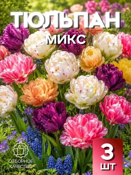 Тюльпан Микс 3шт
