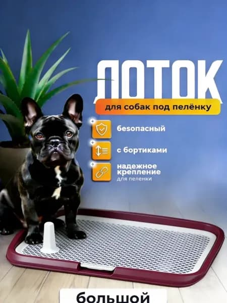 Лоток для собак под пеленку 64 на 49