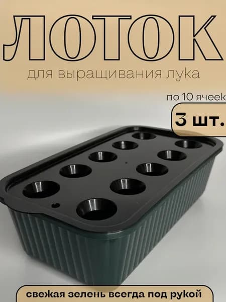Лоток для выращивания зеленого лука на подоконнике