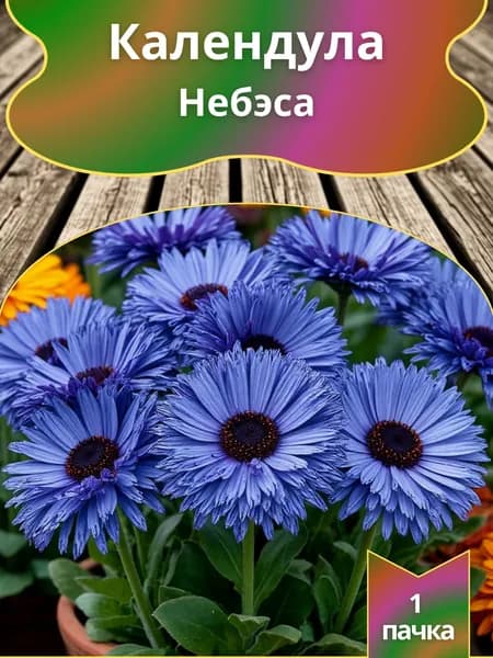 Календула Небэса , семена 10 шт.