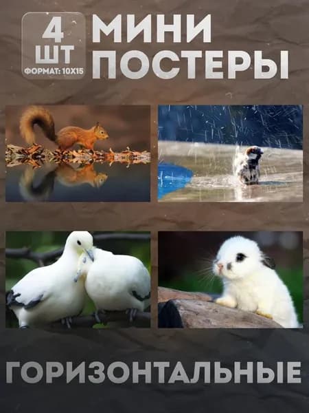 Мини постеры 10 на 15 (набор) «Животные» 4 шт