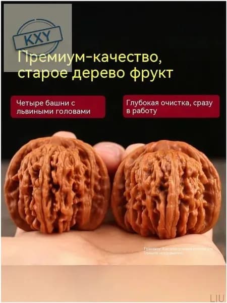 Эксклюзивный Wenwan