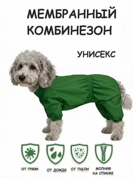 Дождевик для собак мембрана