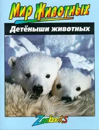 Детеныши животных