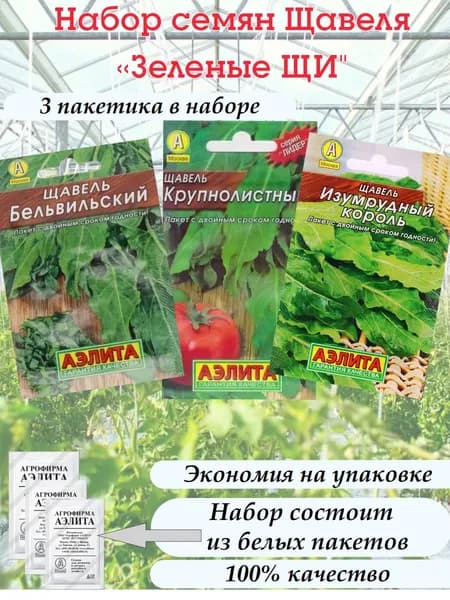 Щавель семена набор 3 сорта для зеленых щей, для пирогов Бельвильский, Изумрудный король, Крупнолистный Аэлита