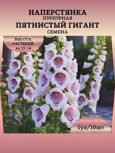 Наперстянка пурпурная "Пятнистый Гигант" семена, 1 пачка