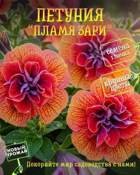 Петуния ампельная (густомахровая) Пламя зари, семена, 10 шт.