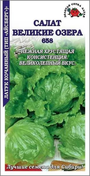 Салат Великие озера 659 Сотка 0,5 г тип айсберга кочан.