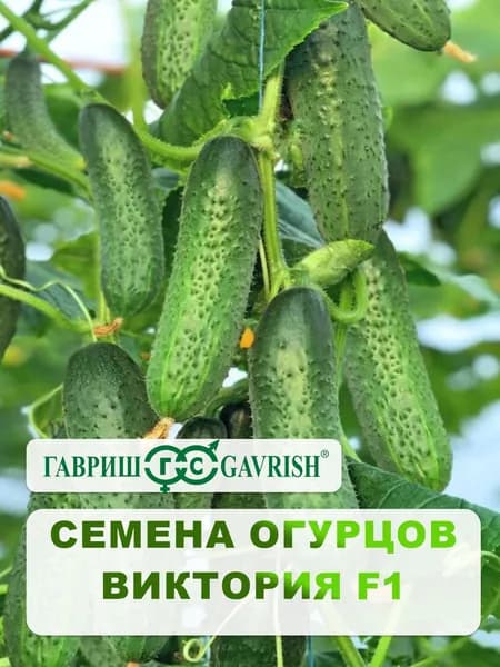 Семена Огурцов "Виктория F1", 10 шт.