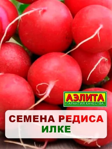 Семена редис "Илке", 2 г, для дома, дачи и огорода, редис из семян, в открытый грунт