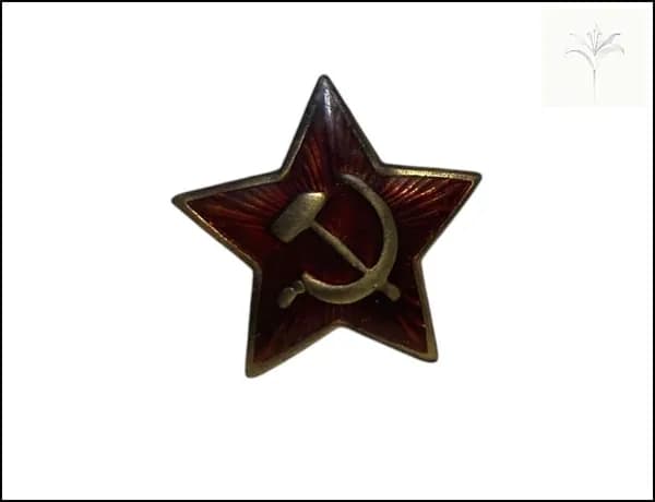 Значок коллекционный