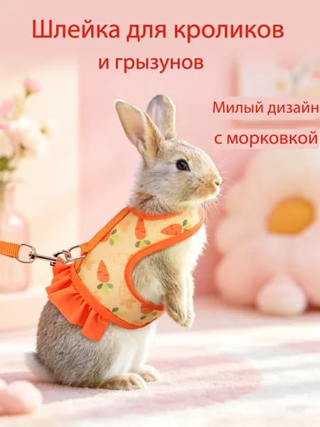 Одежда кролика для животных