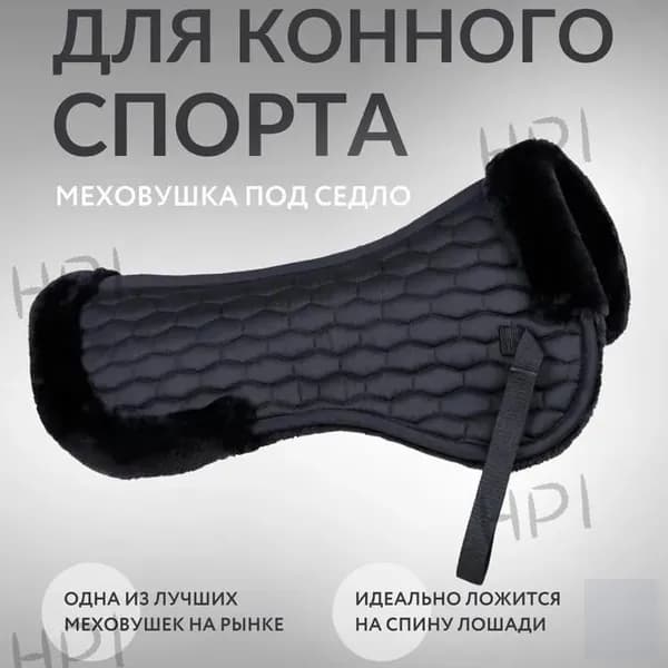 Вальтрап