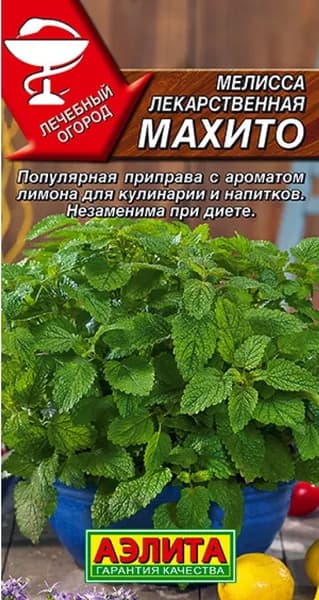 Семена Мелисса лекарственная Махито (0,1г) - Аэлита