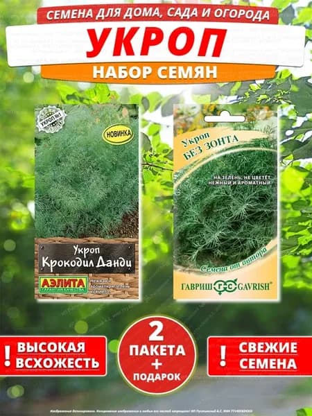 Семена укроп для дома сада посадки