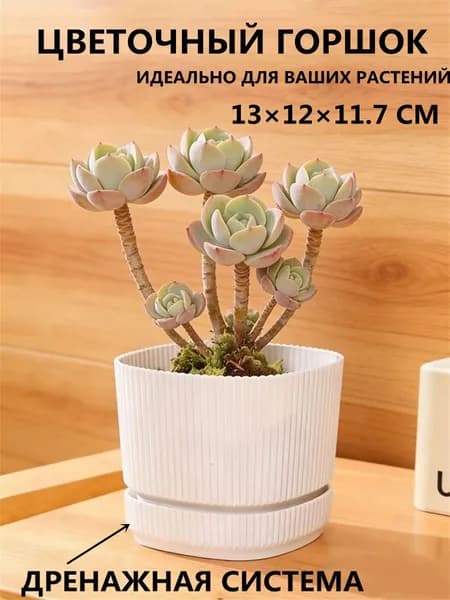 Вазон 12 см, 1 шт, цвет слоновая кость