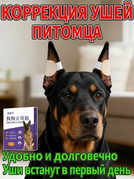 Подставка Для Ушей Собак, Коррекция И Поддержка, 1 Пара, Светло-Коричневый, Нетканый Материал, Долговечная И Практичная