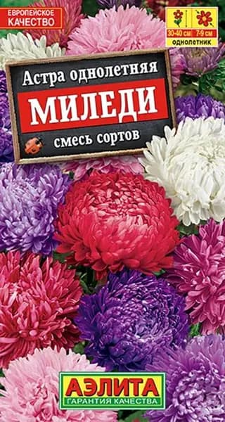 Семена Астра Миледи, смесь (0,2г). Компактные астры 30-40 см для горшков и бордюров. Густомахровые соцветия 7-9 см, цветут до заморозков, устойчивы к фузариозу