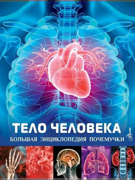 Энциклопедия Тело человека, К. Хибберт, 2022 г