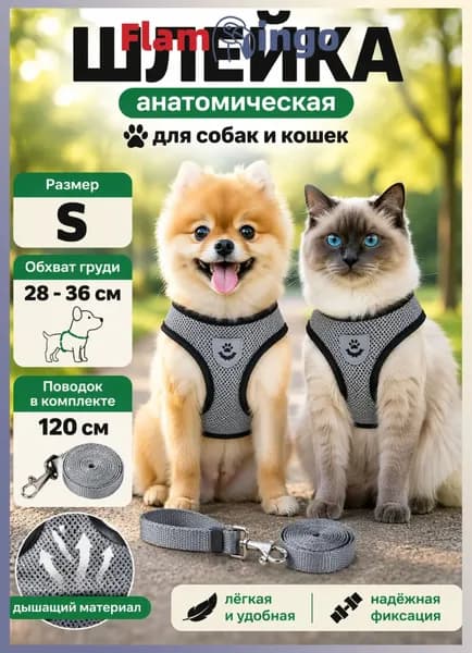 Шлейка для собак и кошек с поводком