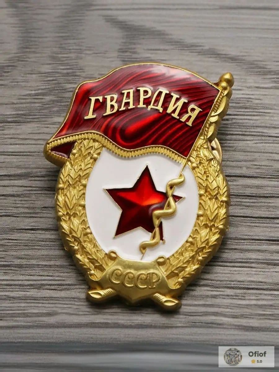 Медаль в честь победы в Великой Отечественной войне СССР, брошь с гербом России с двуглавым орлом, нагрудные знаки Великой Отечественной войны и др.