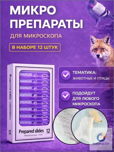 Подготовленные образцы предметных стекол микроскопа