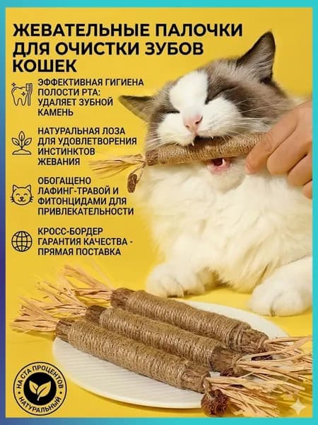 Игрушка для кошек из натурального мататаби, палочка для чистки зубов с галловыми плодами и рафией